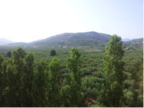 صورة الفندق 16
