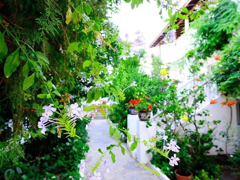 صورة الفندق 9