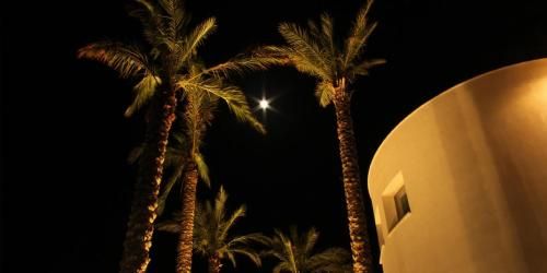 صورة الفندق 22