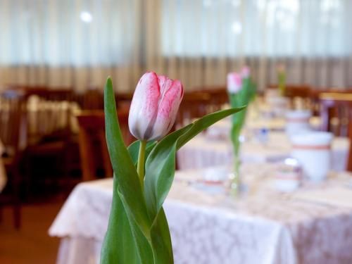 صورة الفندق 17