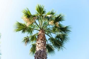 صورة الفندق 1