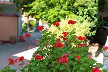 صورة الفندق 14