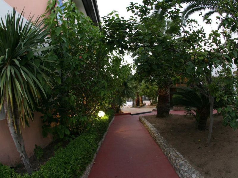 صورة الفندق 23
