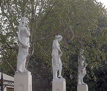 صورة الفندق 20