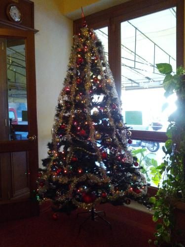 Hotel Photo 6