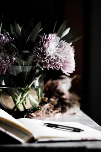 صورة الفندق 13