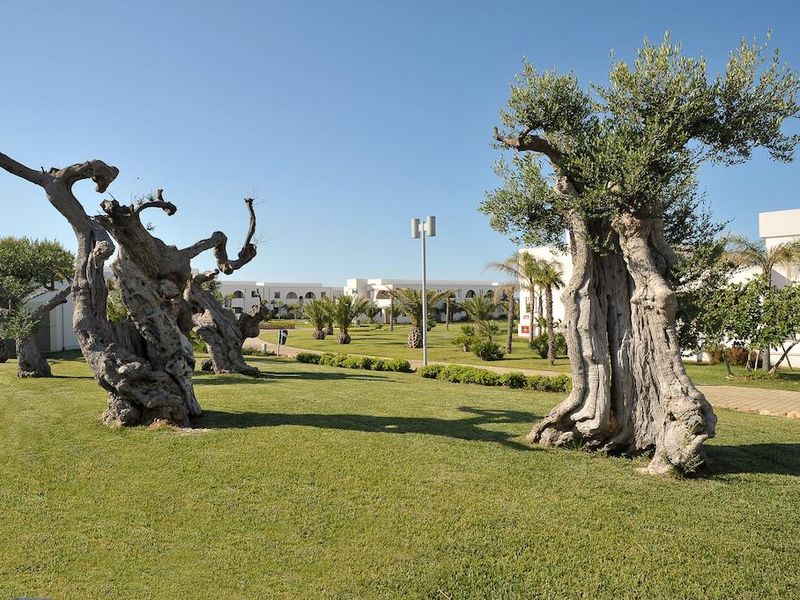 صورة الفندق 18