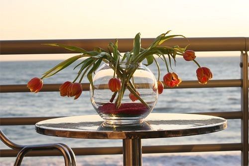 صورة الفندق 19