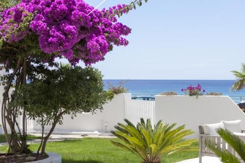 صورة الفندق 23