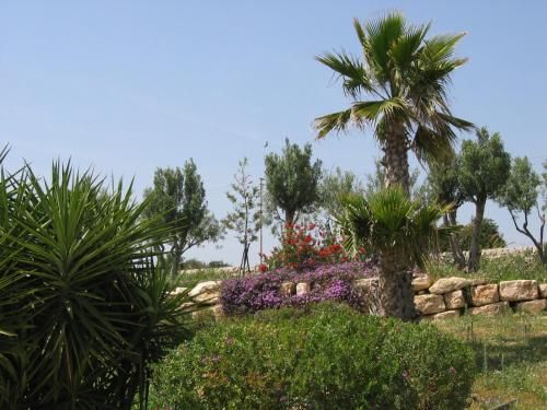 صورة الفندق 17