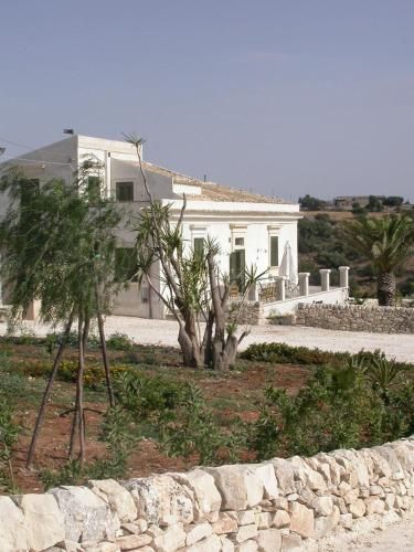 صورة الفندق 24