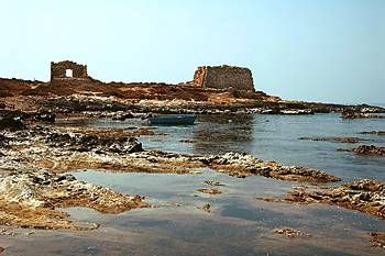 صورة الفندق 21