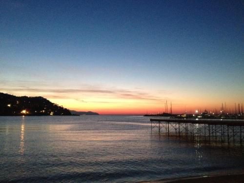 صورة الفندق 20