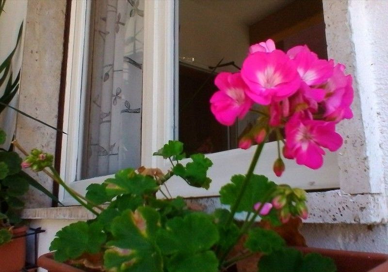 صورة الفندق 22