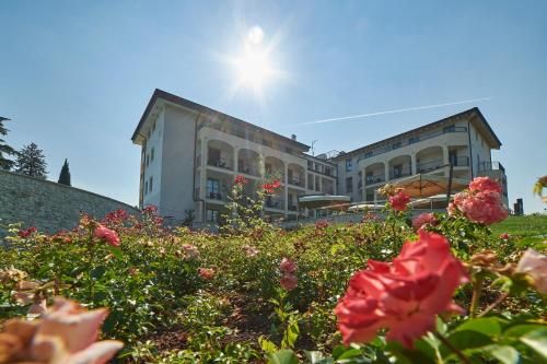 Hotel Photo 21