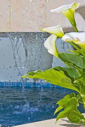 صورة الفندق 21