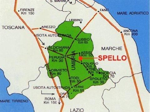 صورة الفندق 7