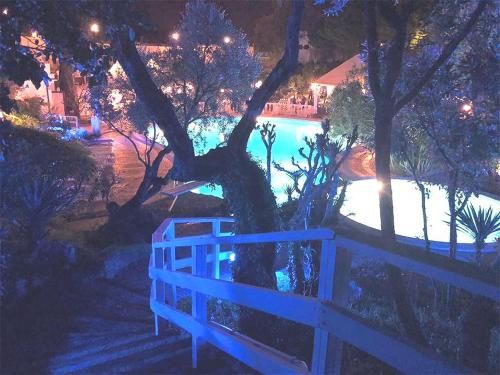 صورة الفندق 24