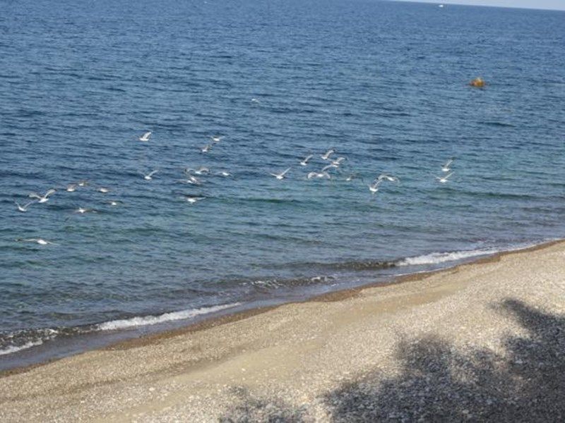 صورة الفندق 2