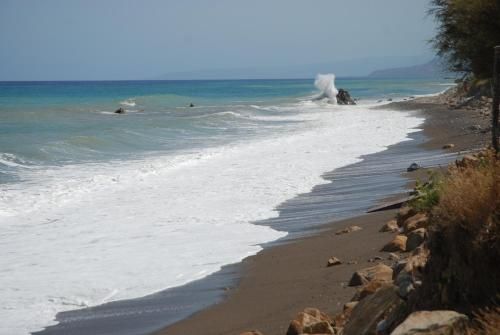 صورة الفندق 3