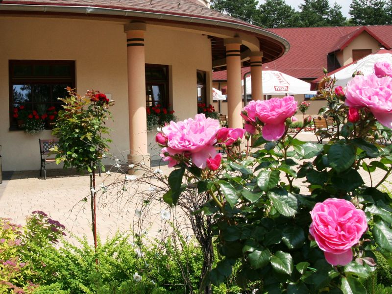 Hotel Photo 21