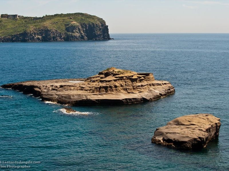 صورة الفندق 18