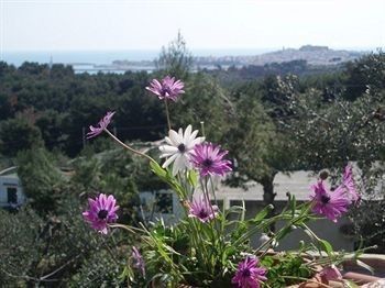 صورة الفندق 10