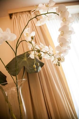 صورة الفندق 15