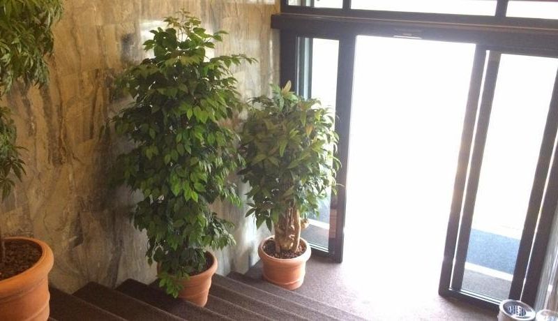 Hotel Photo 22