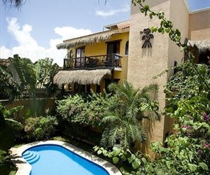 Hotel Bosque Caribe, 5th Av. zone Playa Del Carmen Mexico