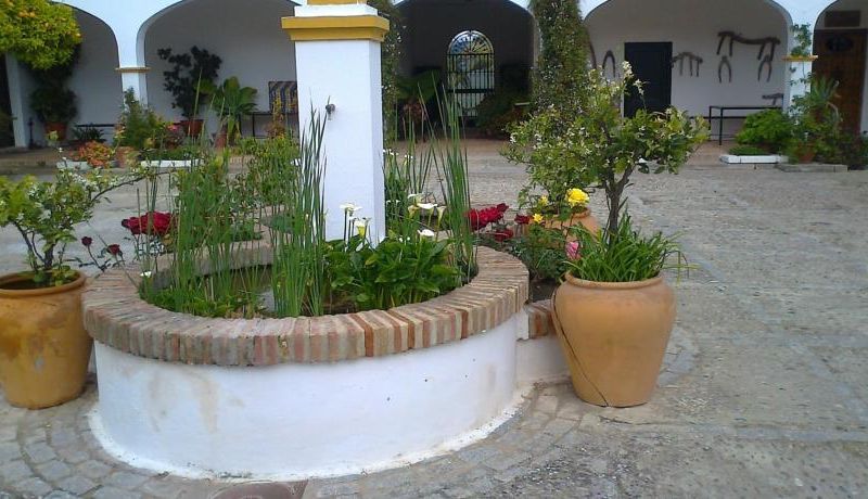 صورة الفندق 17