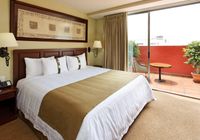 Отзывы Holiday Inn Hotel & Suites Mexico Zona Rosa, 3 звезды