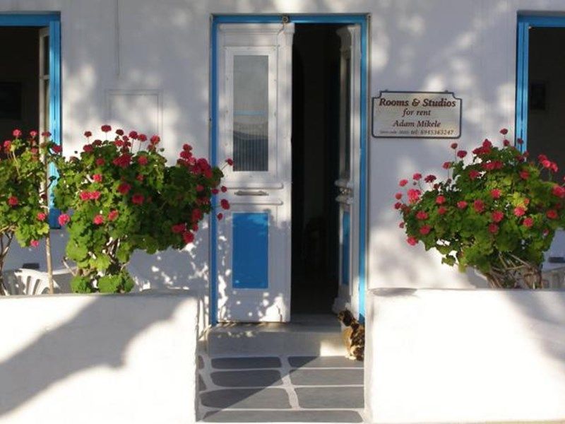 صورة الفندق 1