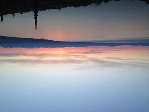 صورة الفندق 20
