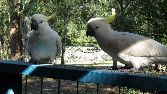 صورة الفندق 15
