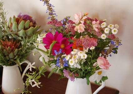 صورة الفندق 13