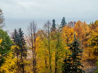 Гостиница Репинская