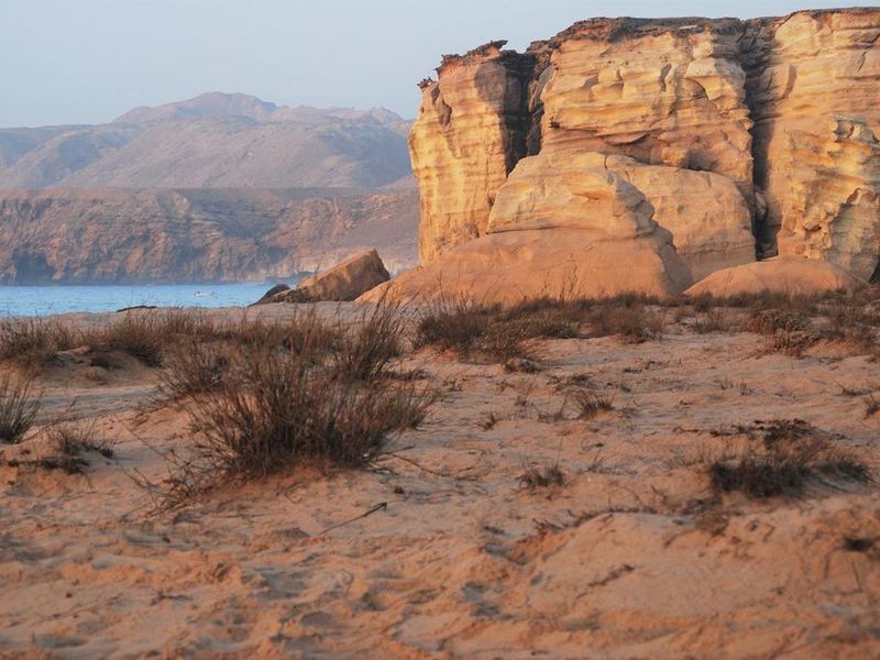 صورة الفندق 17