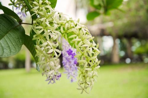صورة الفندق 16