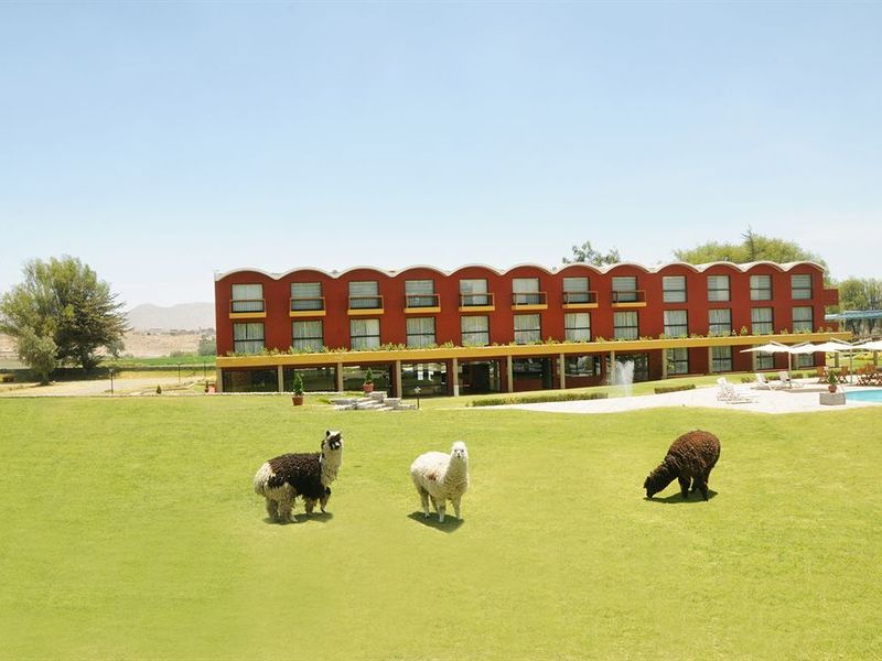 صورة الفندق 20