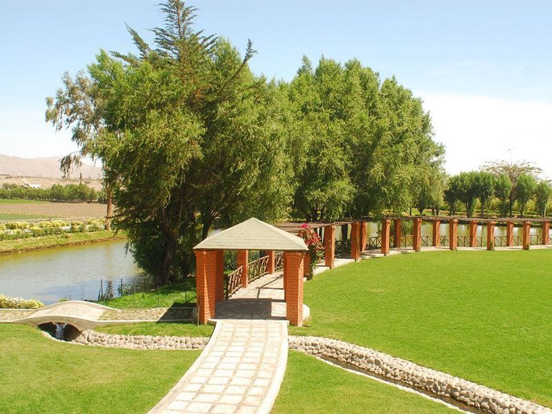 صورة الفندق 21