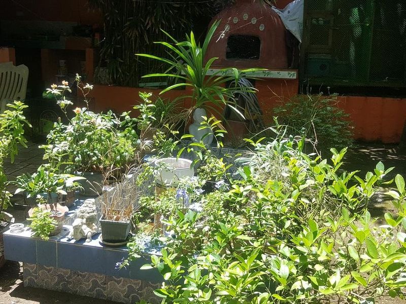 صورة الفندق 21