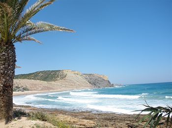 صورة الفندق 21