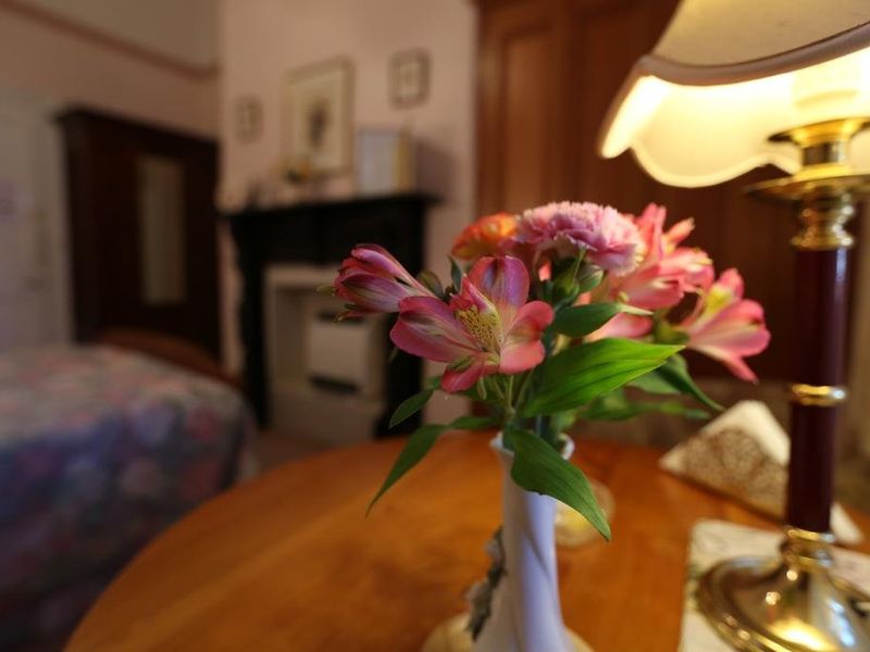صورة الفندق 15