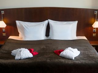 Original Sokos Hotel Olympia Garden (можно с животными)