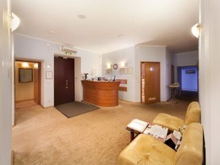 Соло на Большом проспекте