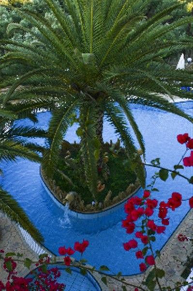 صورة الفندق 17
