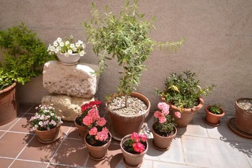 صورة الفندق 23