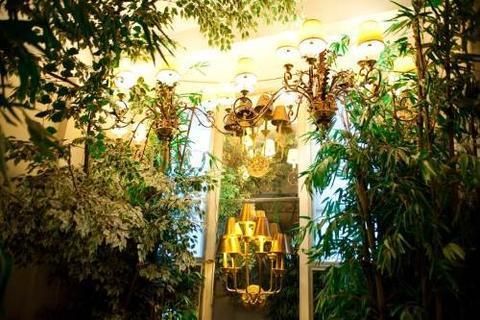 صورة الفندق 1