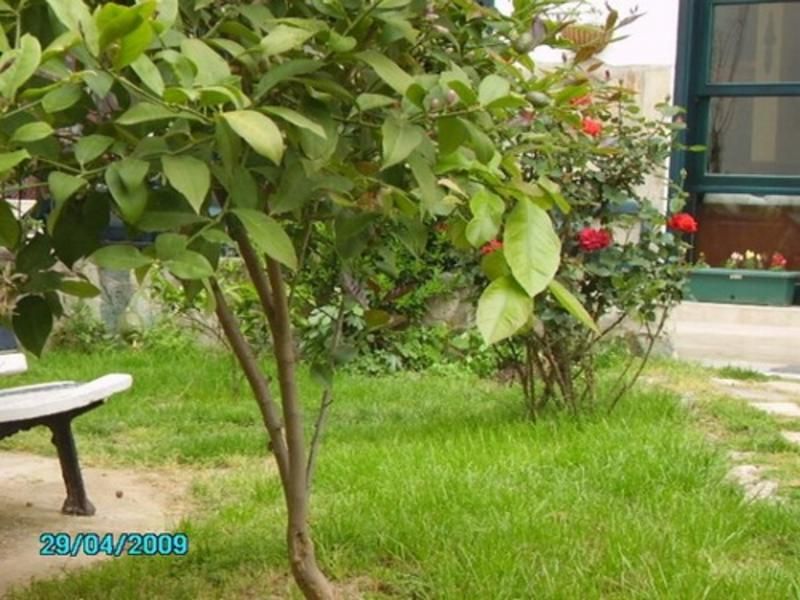 صورة الفندق 21